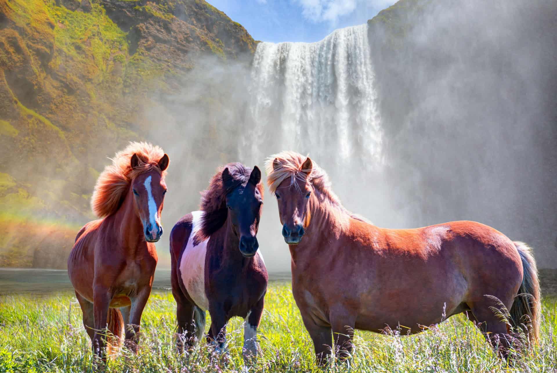 L’Islande en mars
