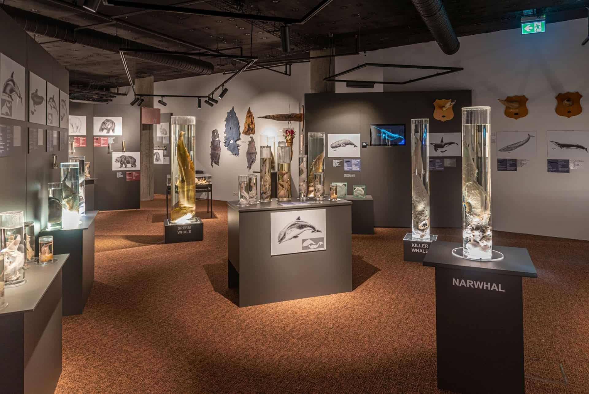 musee phallologique
