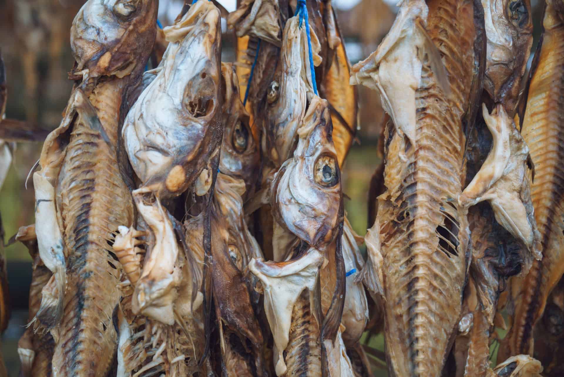 hardfiskur specialites culinaires islandaises
