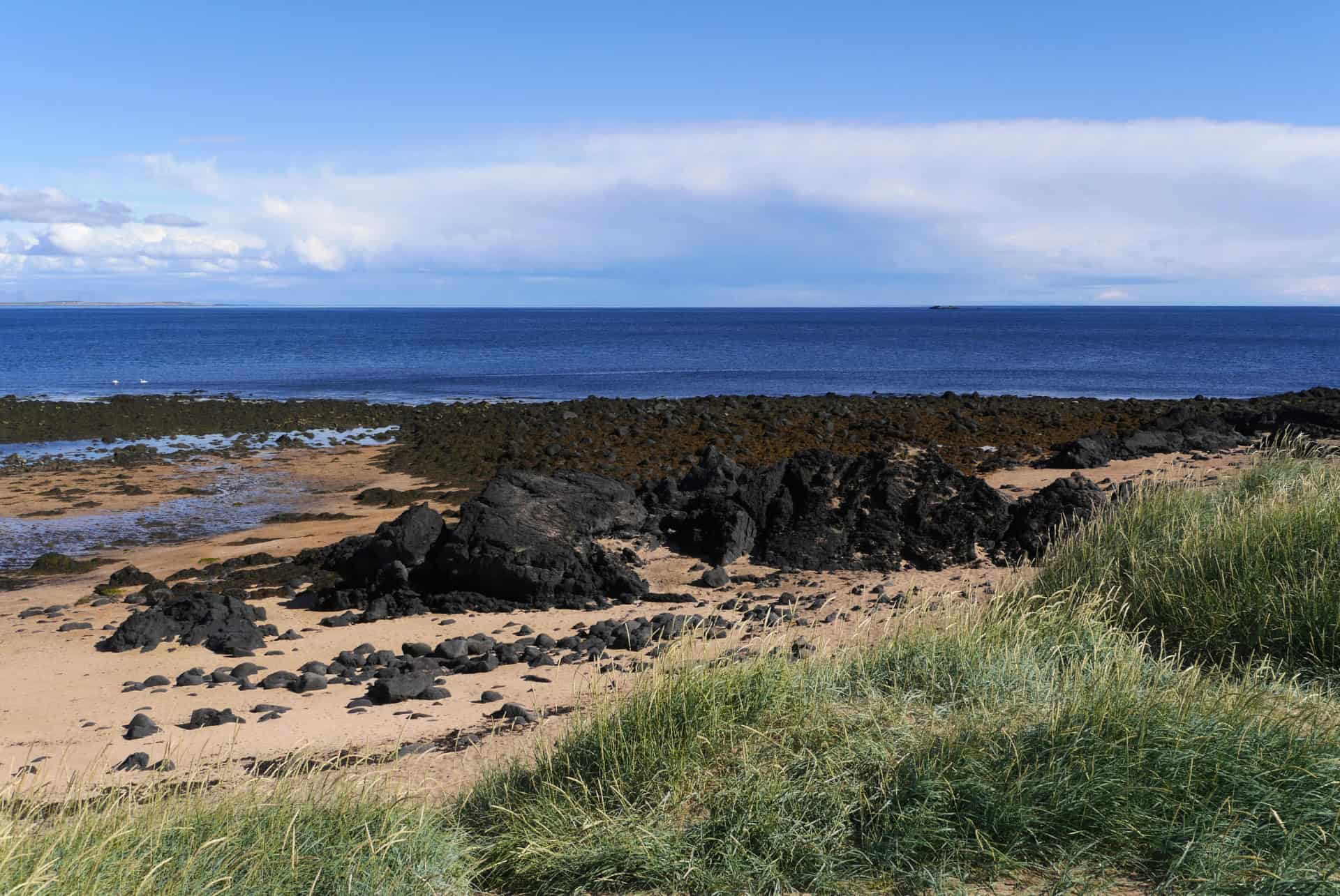 plage et champ de lave buoahraun