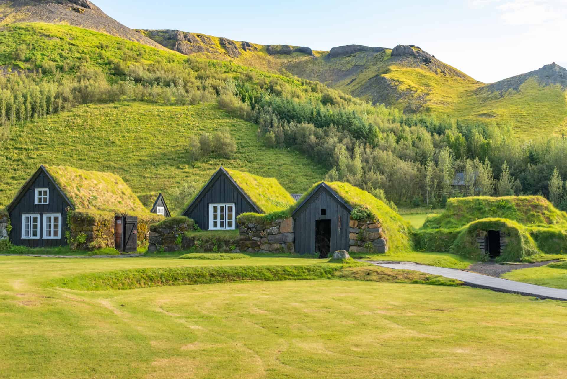 eco musee skogar