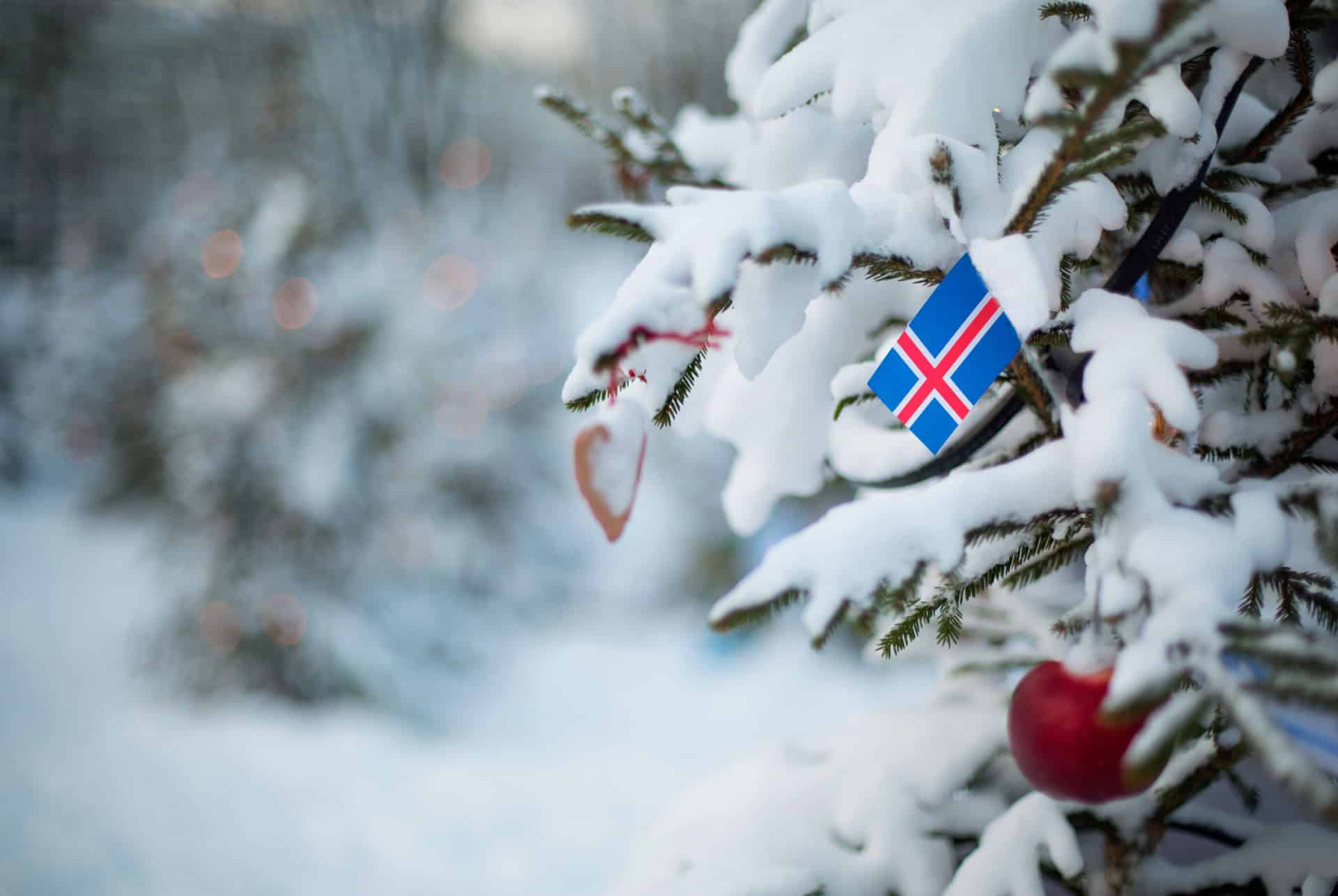islande en decembre meteo