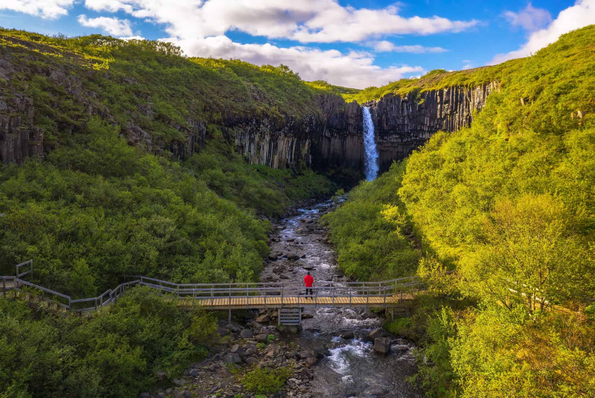 randonnee svartifoss skaftafell