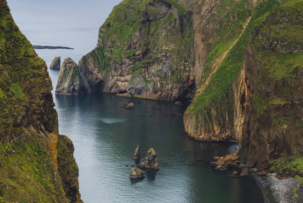 Tour en bateau aux îles Vestmann depuis Reykjavik