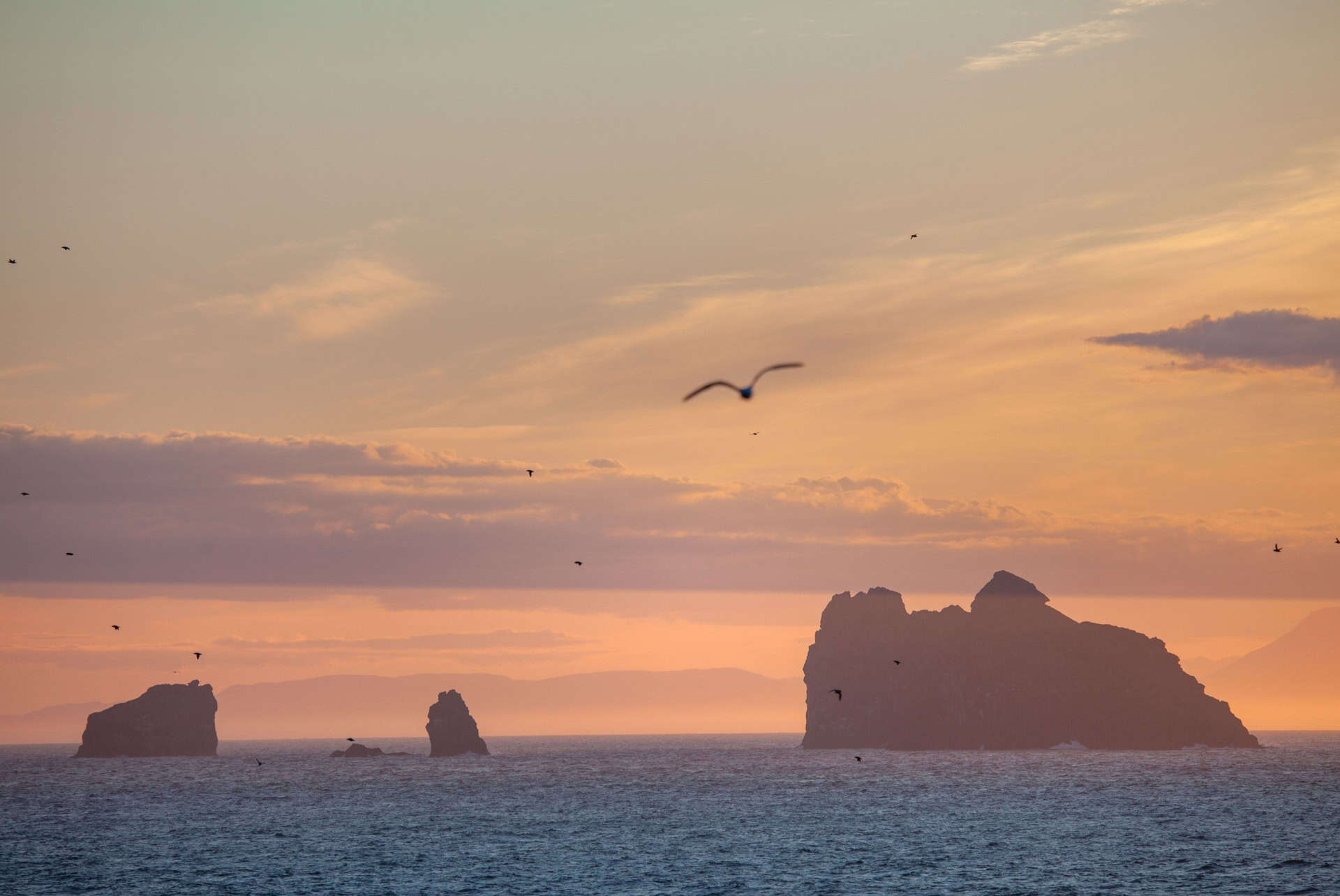Où dormir sur les îles Vestmann ?