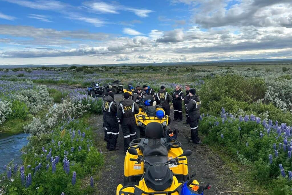Excursion guidée en quad près de Dettifoss