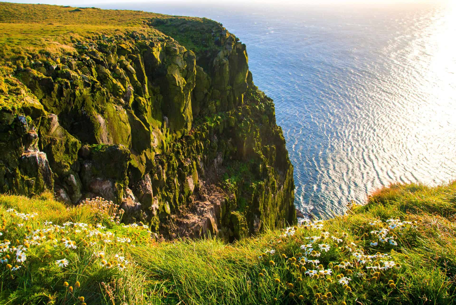 islande latrabjarg