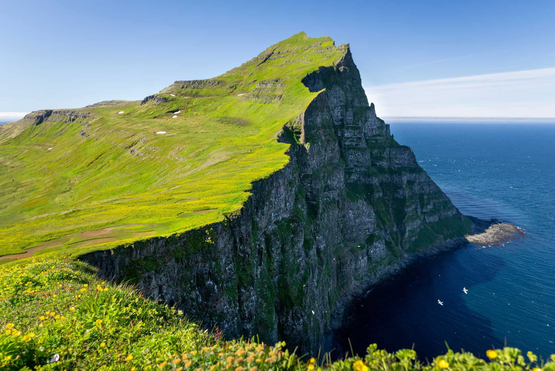 falaises hornbjarg hornstrandir