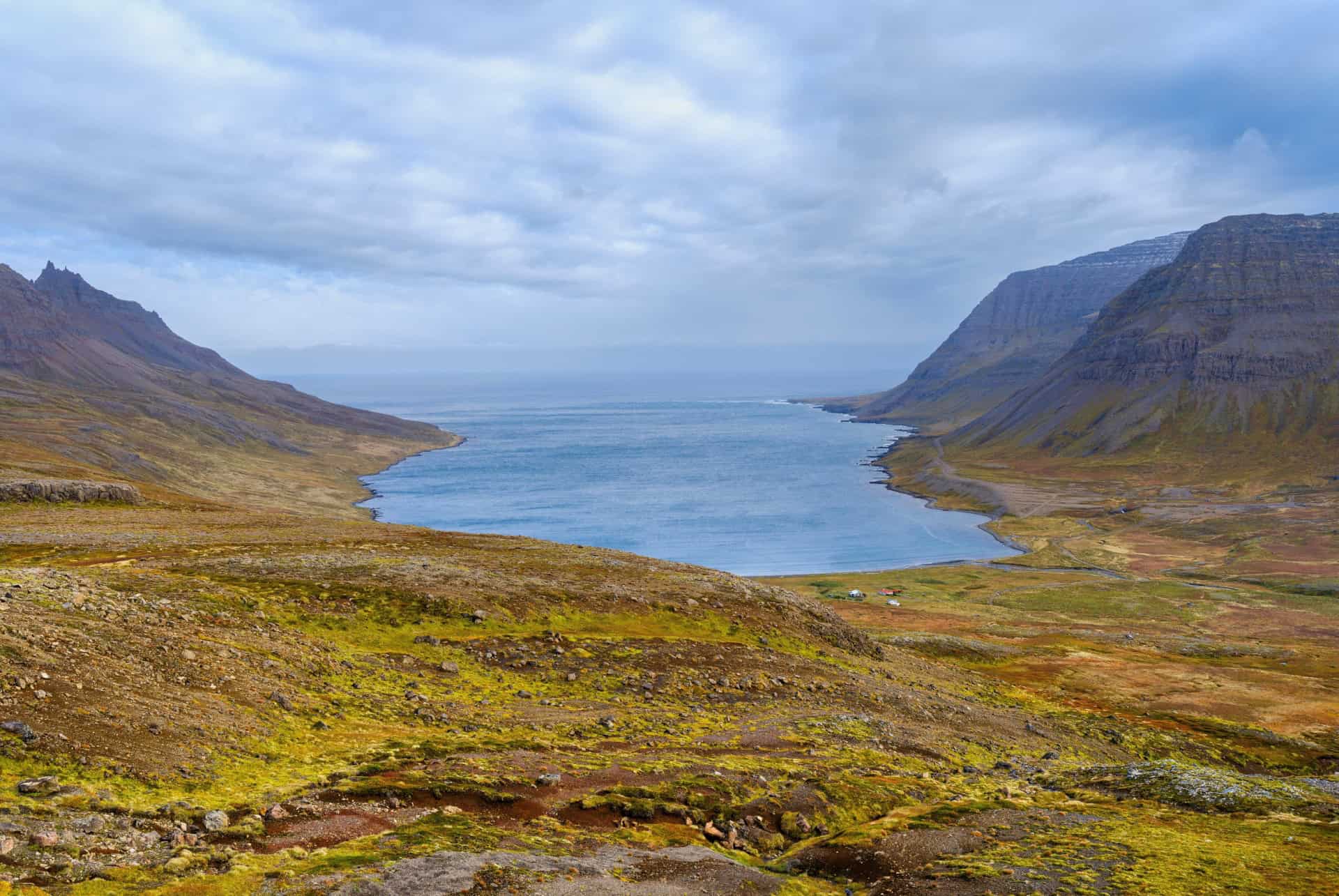 trek hornstrandir veidileysufjordur