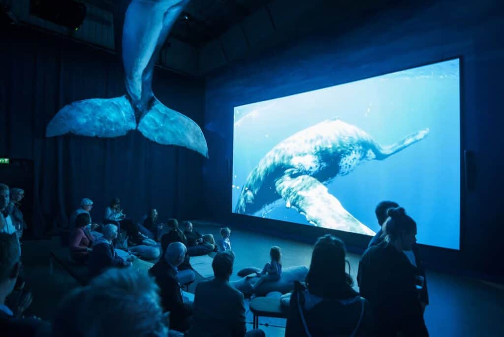Entrée au musée des baleines de Reykjavik