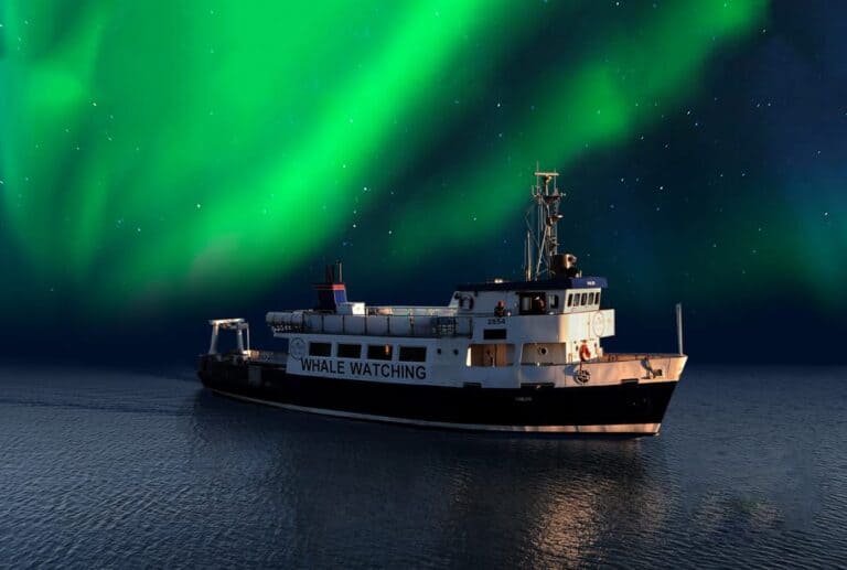 Croisière touristique sur les aurores boréales