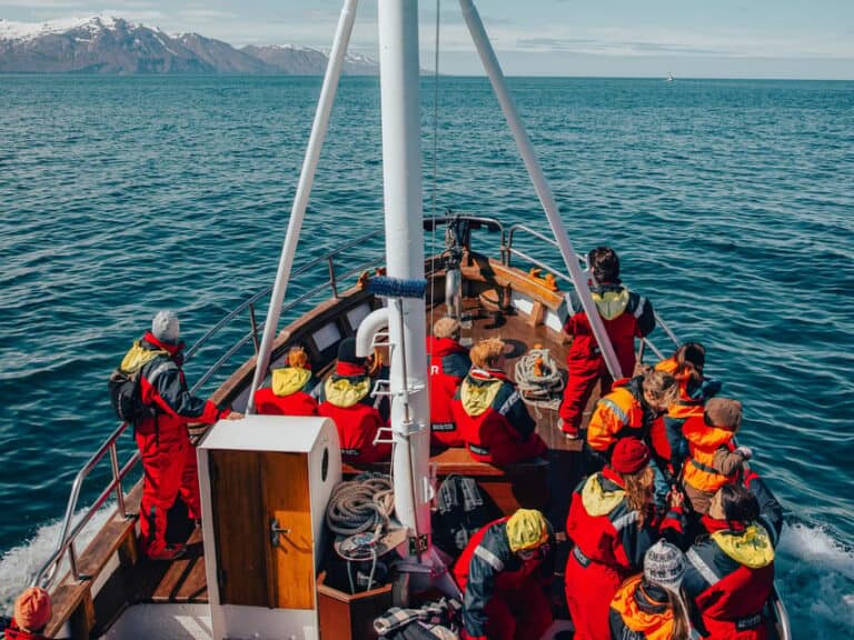 Croisière observation des baleines en bateau traditionnel