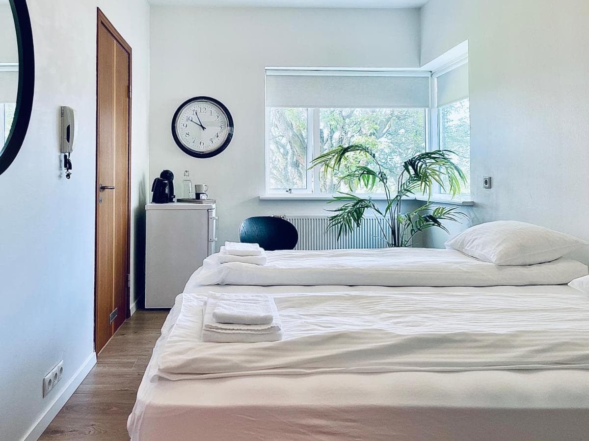 day dream soleyjargata rooms