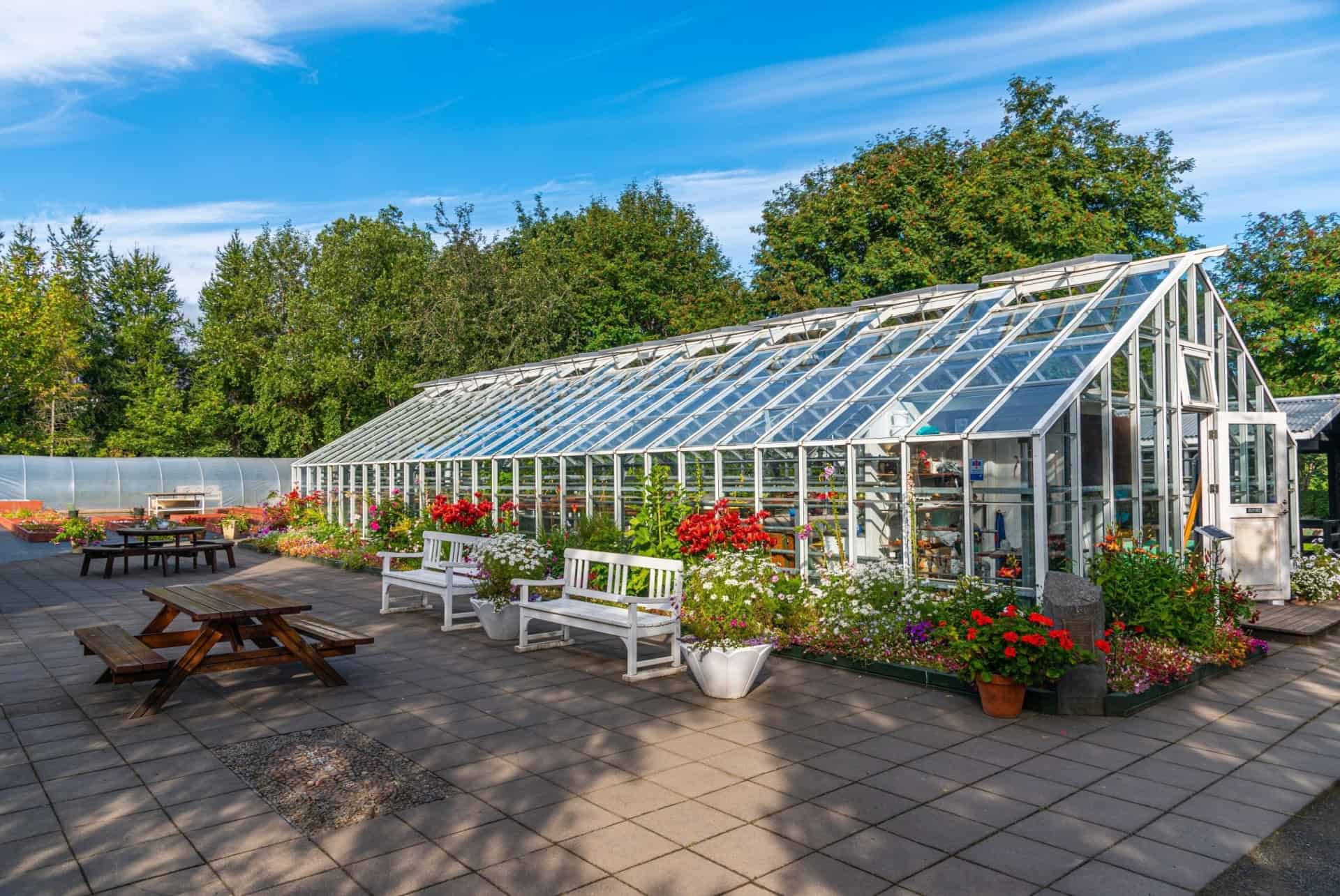 jardin botanique islande akureyri