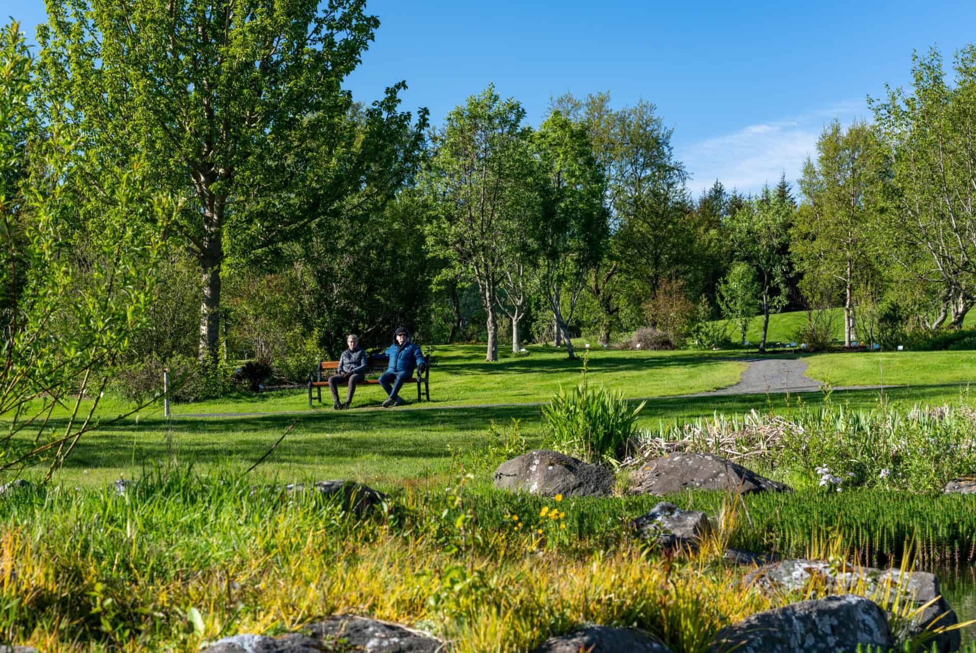 laugardalur jardin botanique