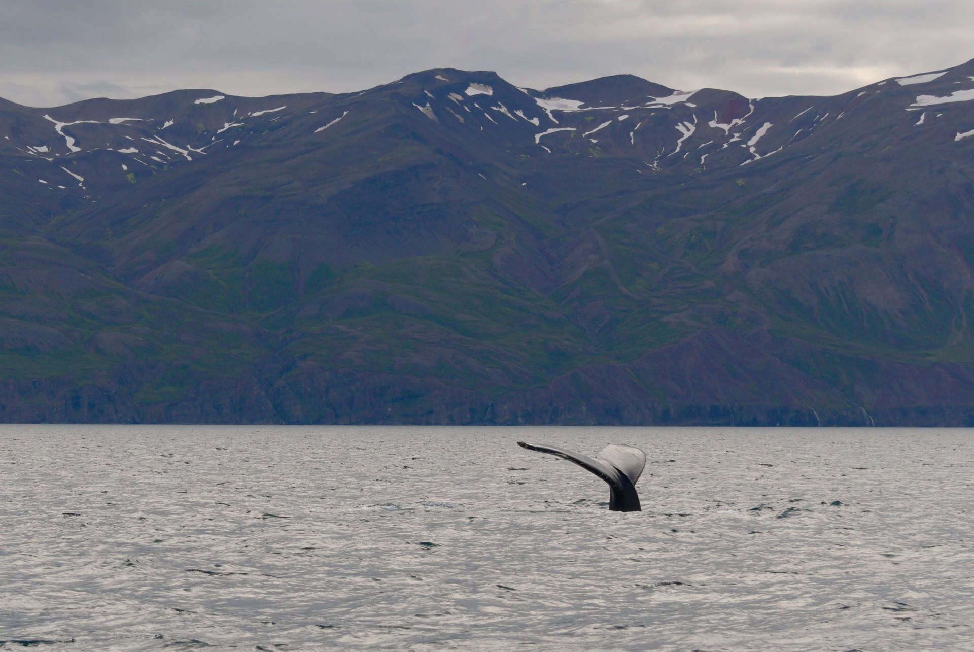 montagne d’Húsavík