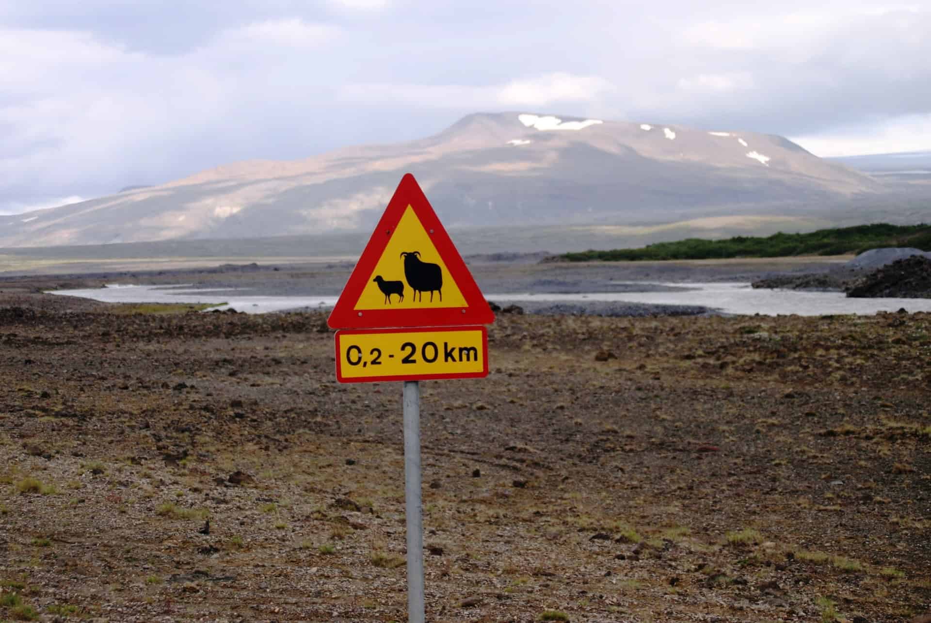 panneau animaux sauvage