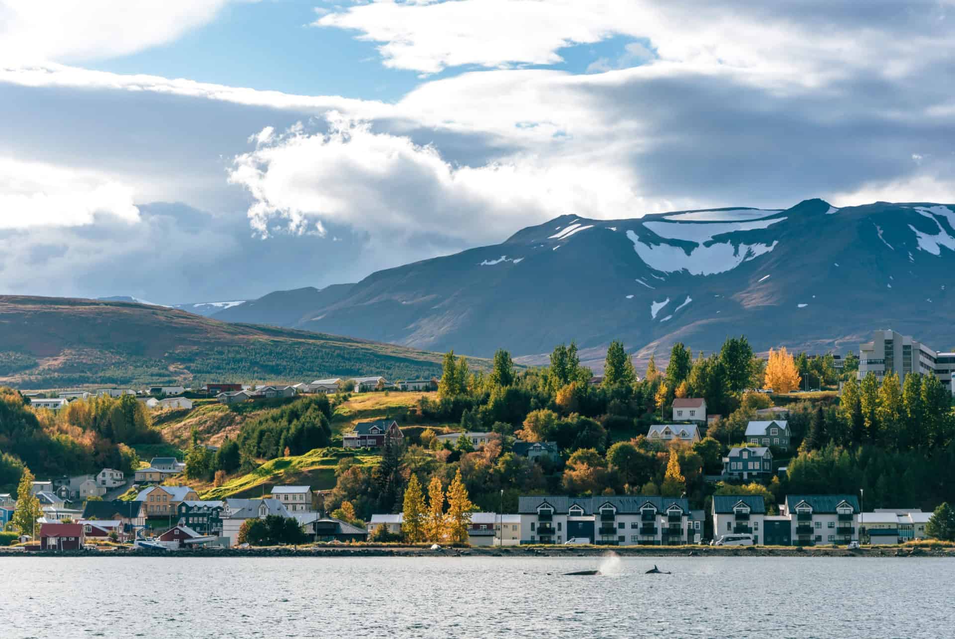 akureyri ville