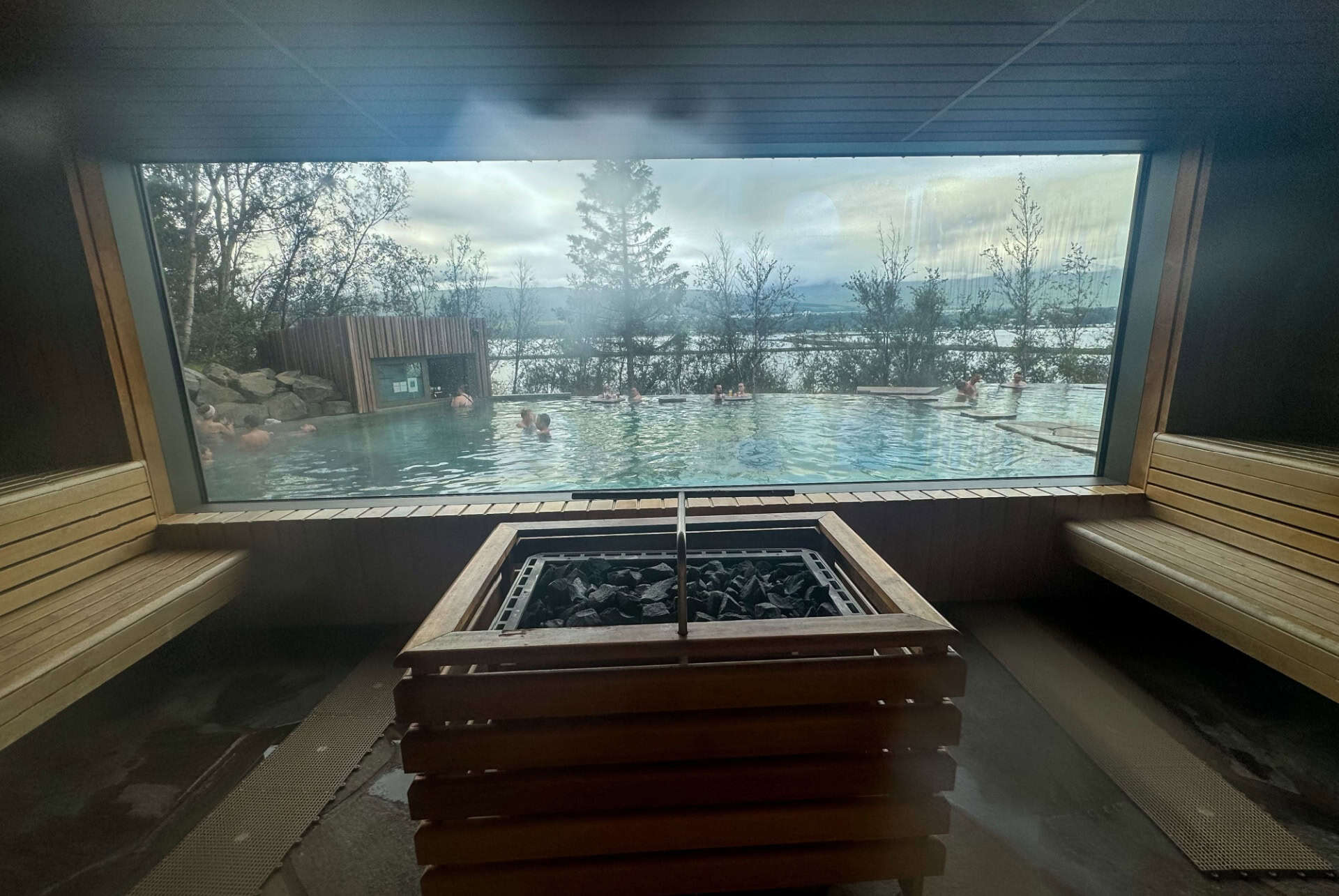 forest lagoon interieur