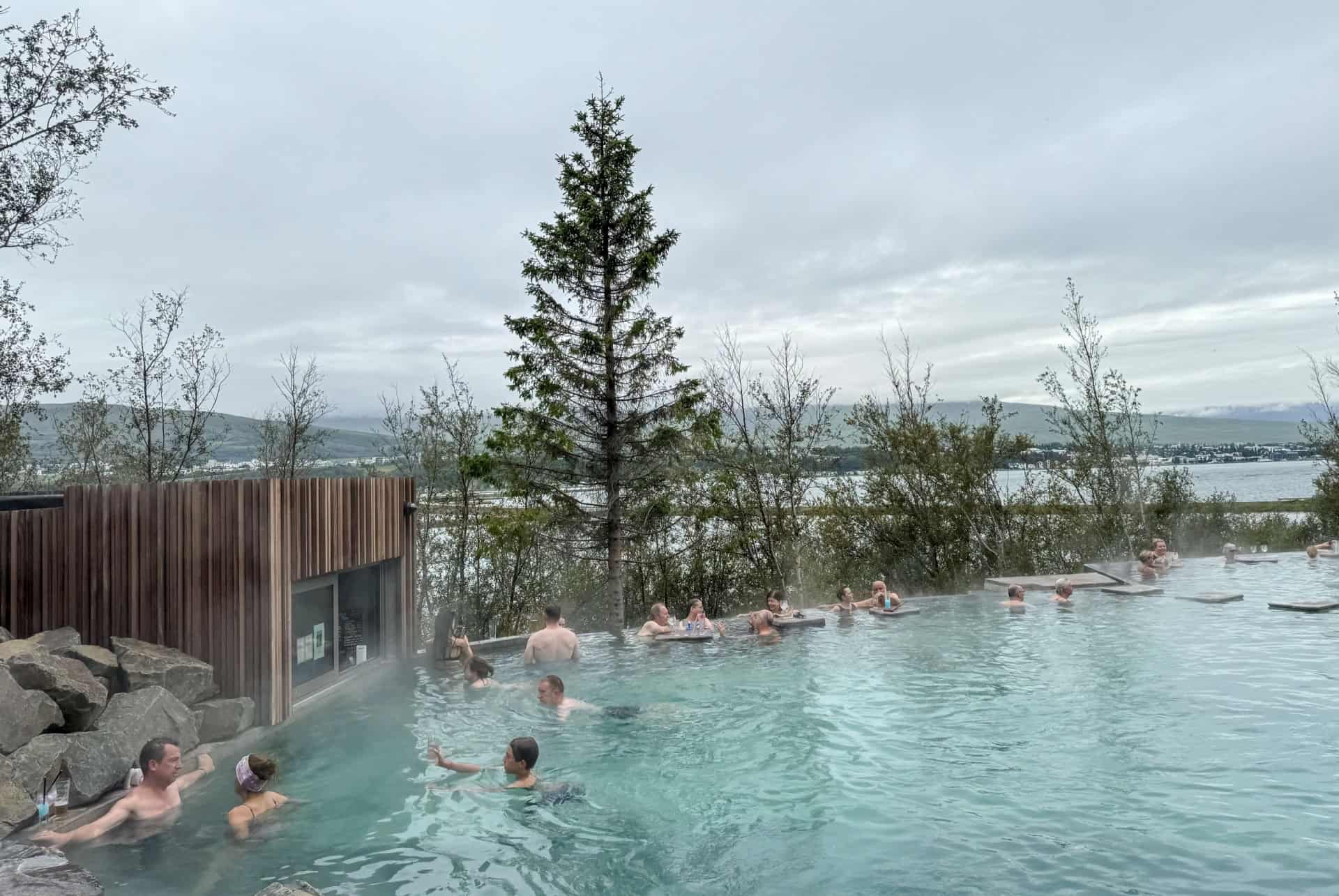 forest lagoon vue