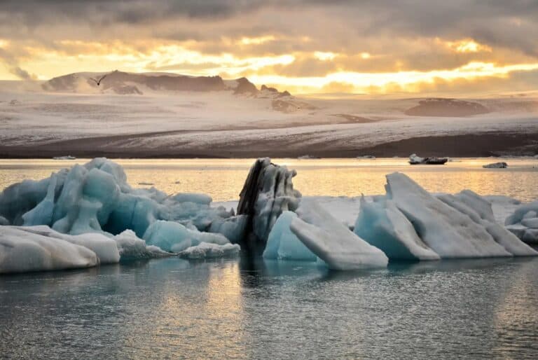 Visite du lagon glaciaire et du canyon de Fjaðrárgjúfur