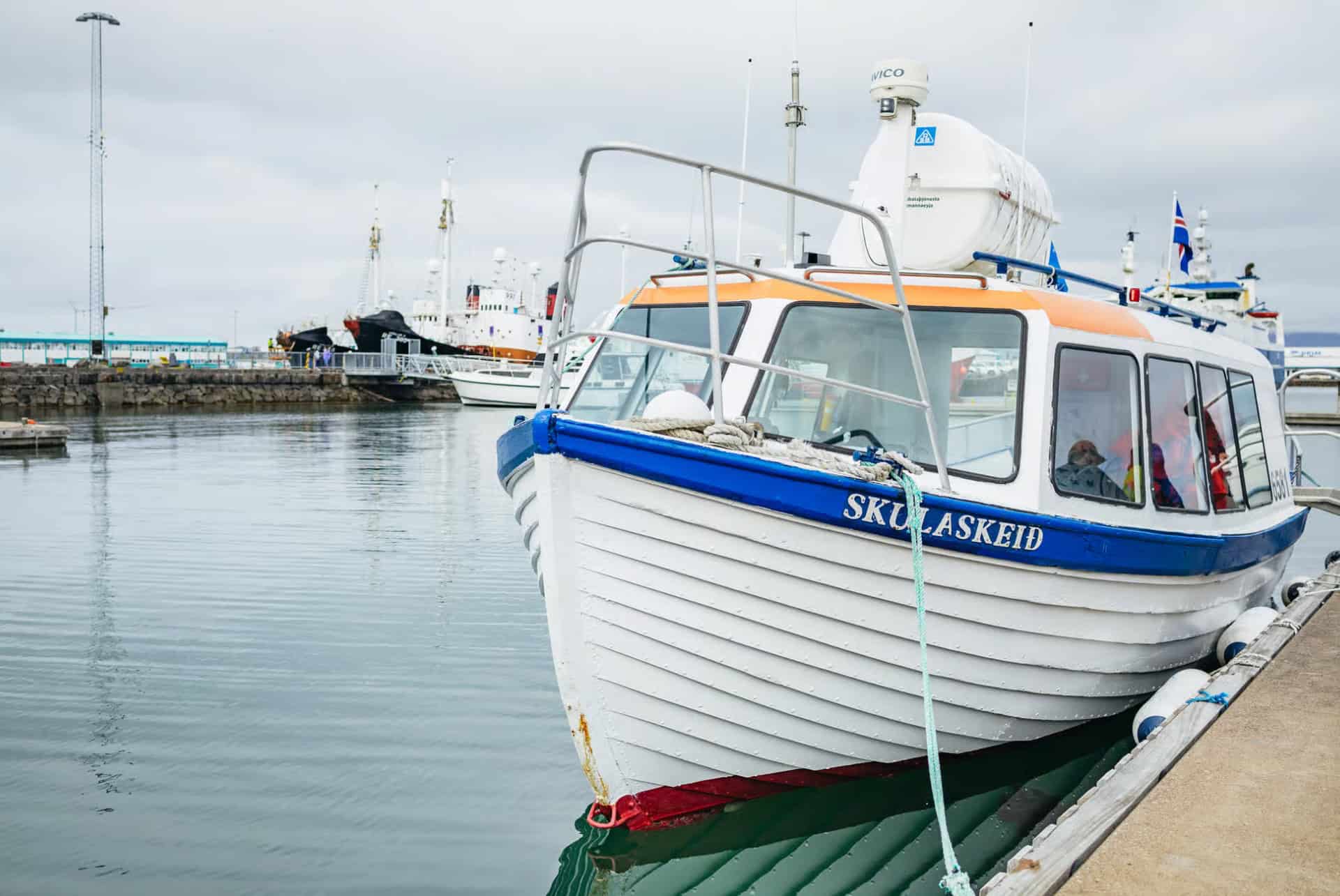 tour en bateau pour observer les macareux