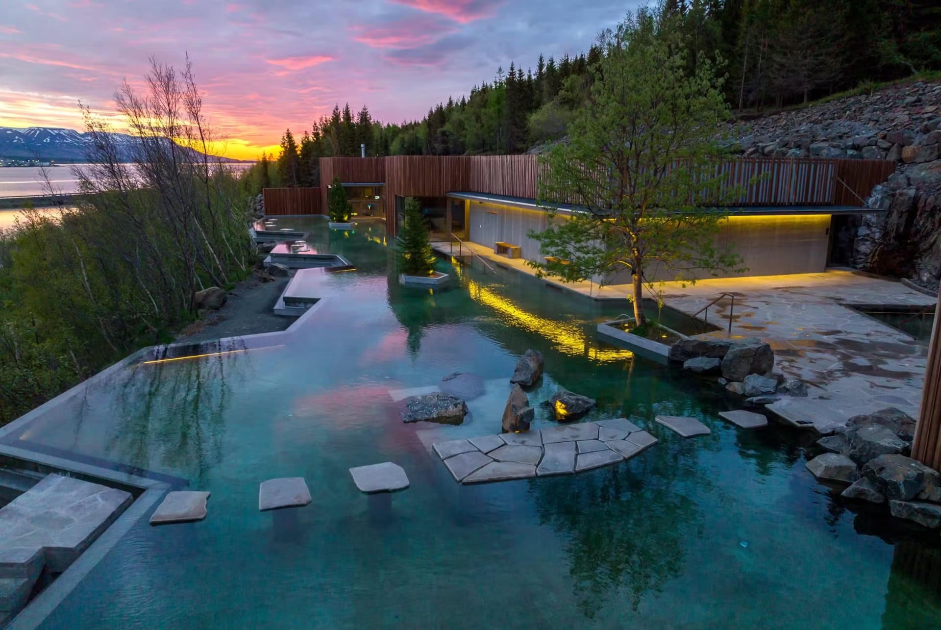 forest lagoon coucher soleil