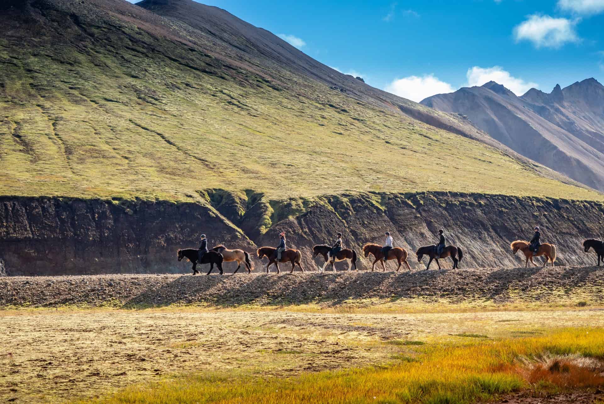 balade a cheval islande